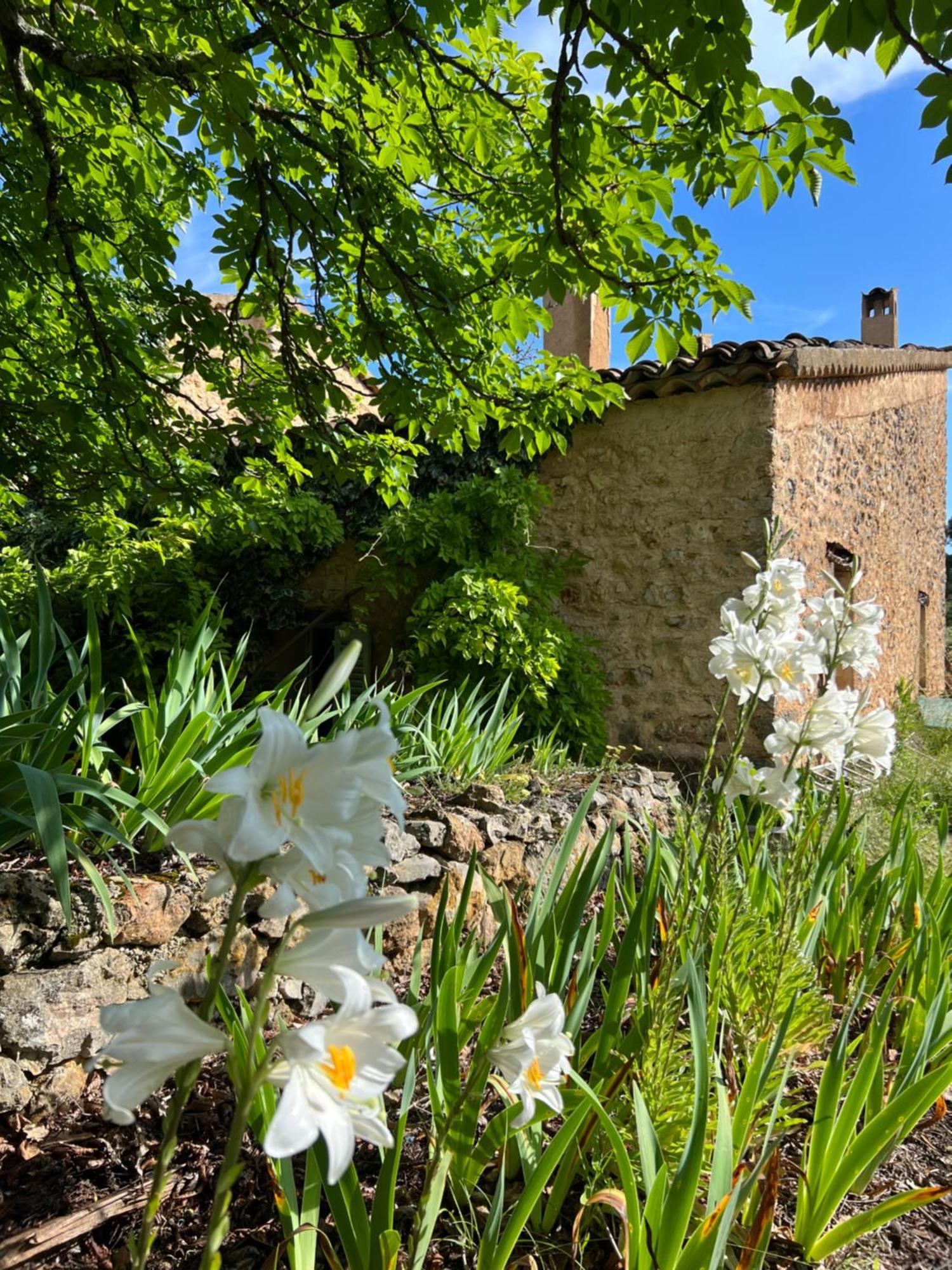 Charmant Appartement Independant Au Sein D'Un Mas Provencal โอปส์ ภายนอก รูปภาพ